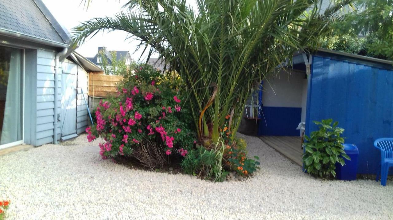 Le Petit Cottage Entre Village Et Mer Trelevern Екстер'єр фото