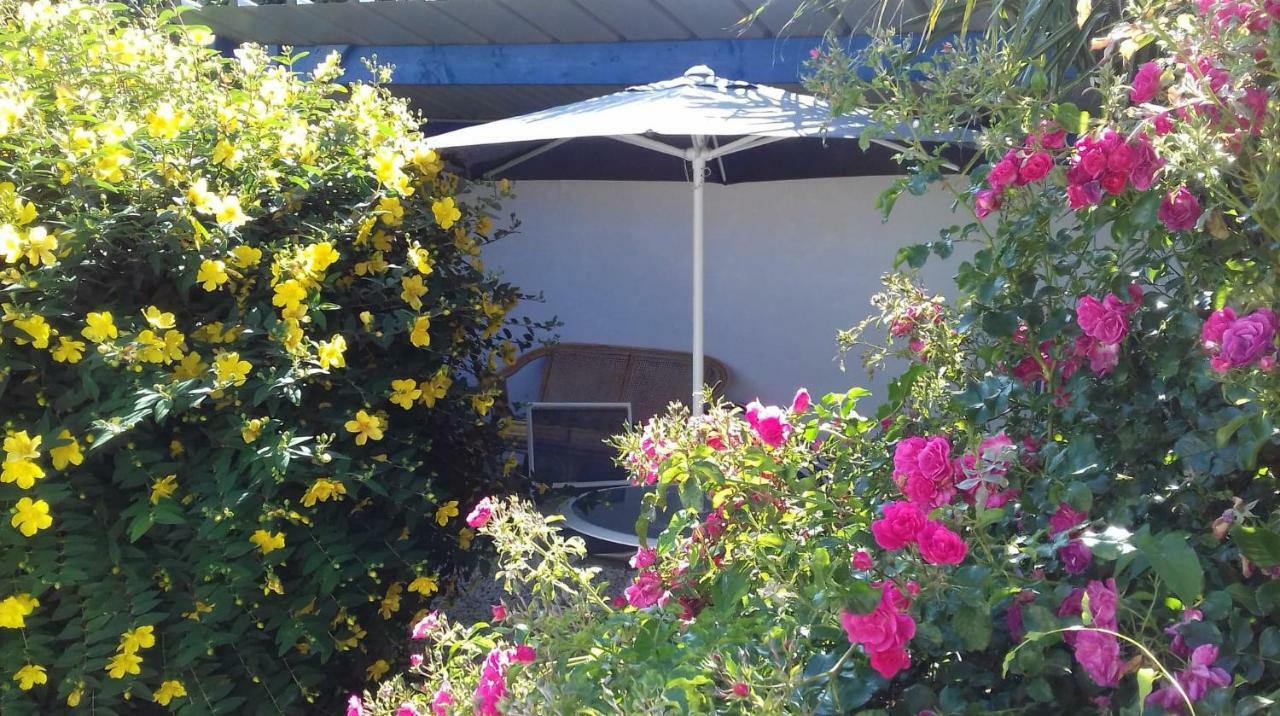Le Petit Cottage Entre Village Et Mer Trelevern Екстер'єр фото